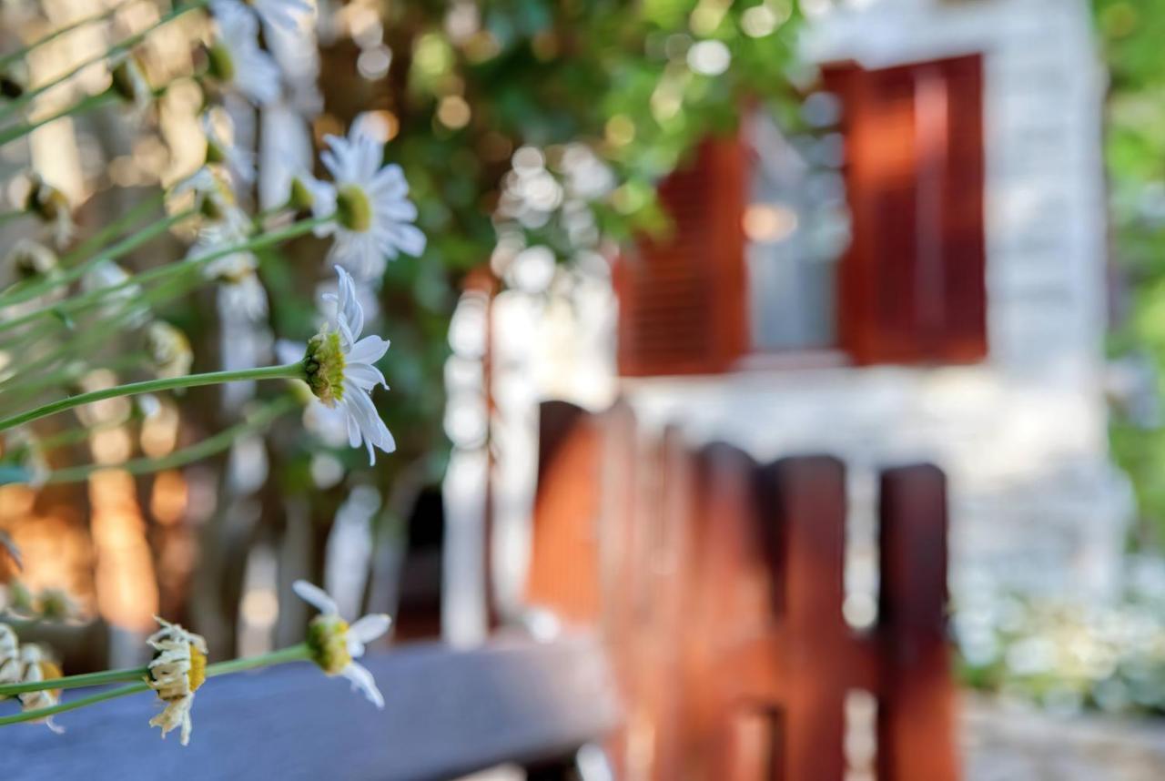 Holiday Home Giardino Marino Pomer Exterior foto