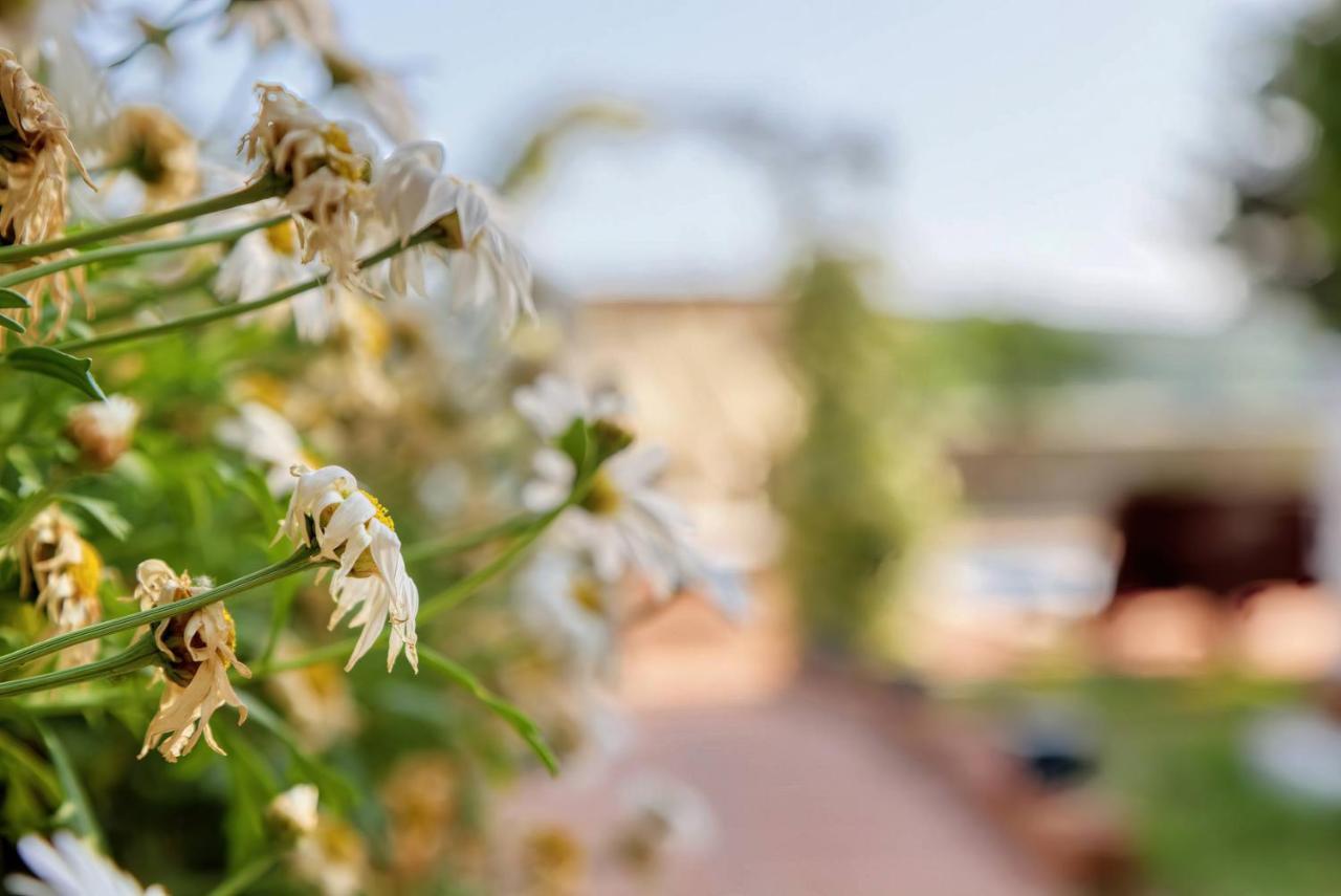 Holiday Home Giardino Marino Pomer Exterior foto